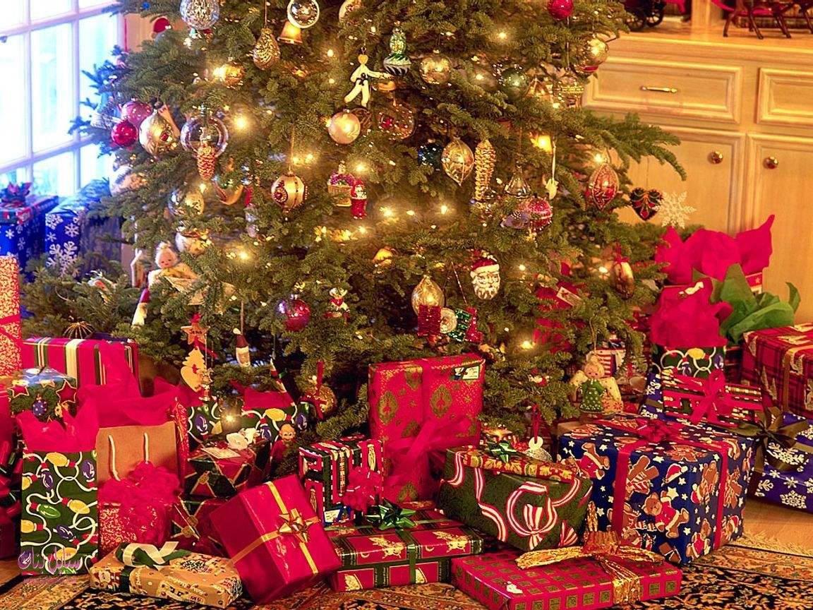 153745 قصص عجيبة لشجرة عيد الميلاد